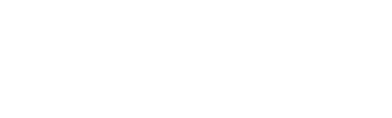Nirmala Ramlall — for Vaughan City Councillor, Ward 4